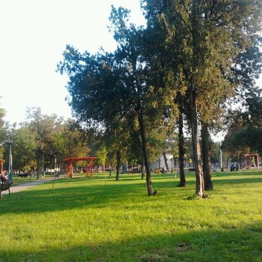 Regy Daire Oradea Dış mekan fotoğraf